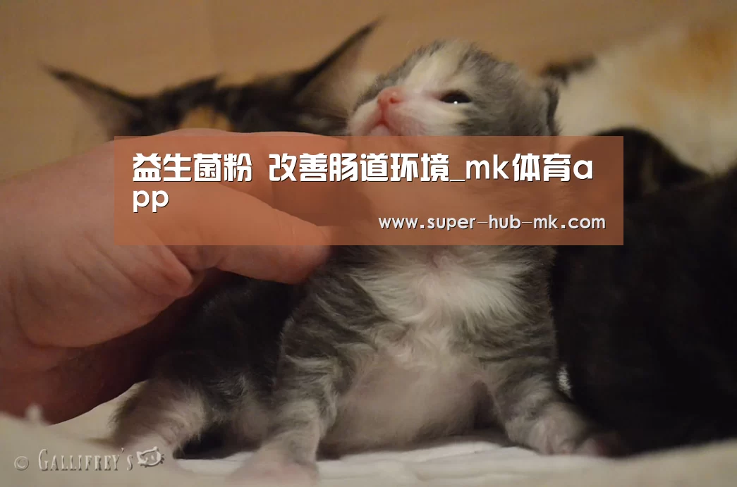 mk体育app