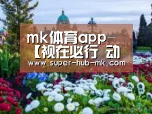 mk体育app-【视在必行 动悉万象】2017年中OTT运营大数据蓝皮书发布会隆重召开(图2) mk体育在线