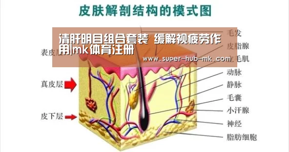 清肝明目组合套装 缓解视疲劳作用|mk体育注册(图1) mk体育平台