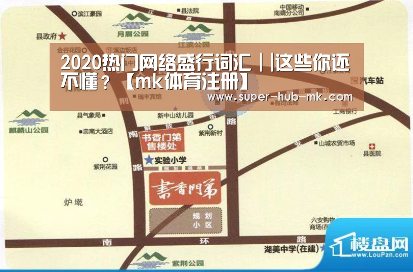 2020热门网络盛行词汇||这些你还不懂?【mk体育注册】(图1) mk体育在线