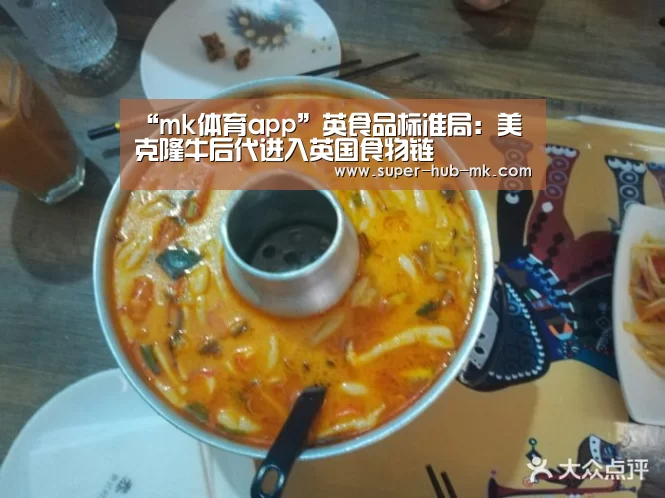 mk体育平台